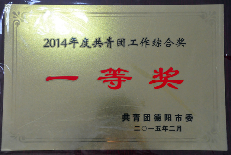 2014年度共青团工作综合奖一等奖